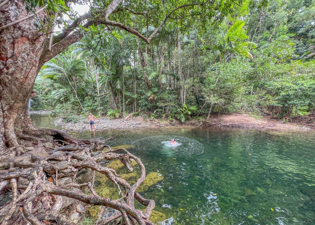 Swimming hole in the Daintree Rainforest